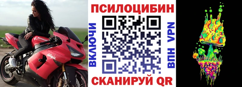 OMG зеркало  Таштагол  Галлюциногенные грибы прущие грибы  наркошоп 